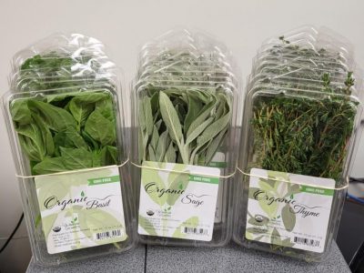 Waialua Growers- Certified Organic Fresh Herbs