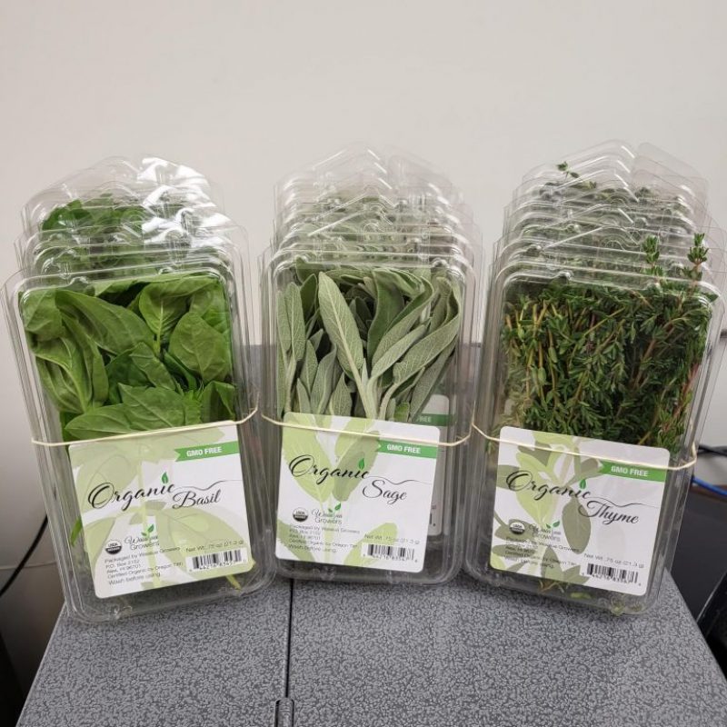 Waialua Growers Certified Organic Herbs Hawaii