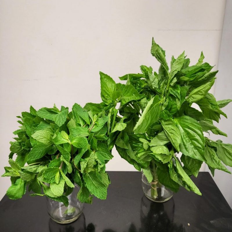 Waialua Growers Certified Organic Herbs Hawaii