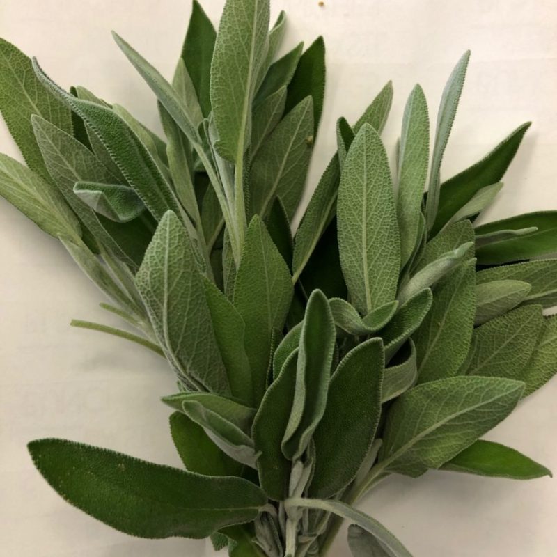 Waialua Growers Certified Organic Herbs Hawaii