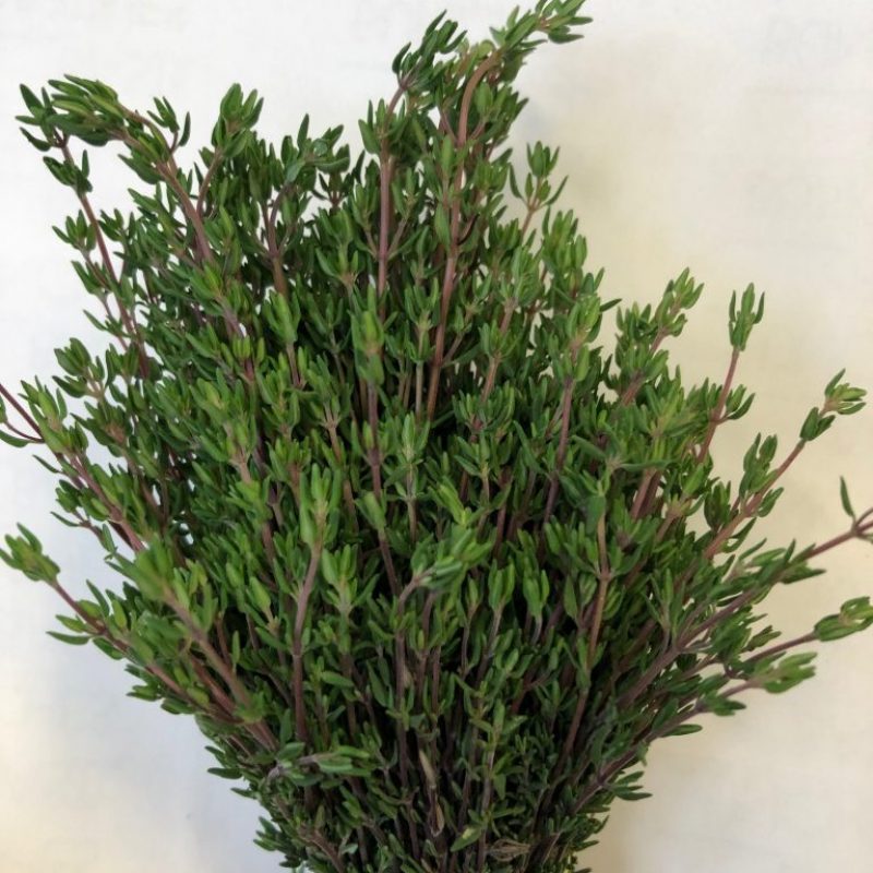 Waialua Growers Certified Organic Herbs Hawaii